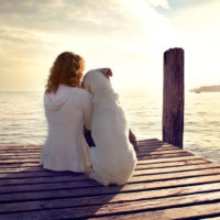adrenal fatigue personality