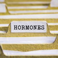 Adrenal glands are involved in the balancing of the entire endocrine system's hormones