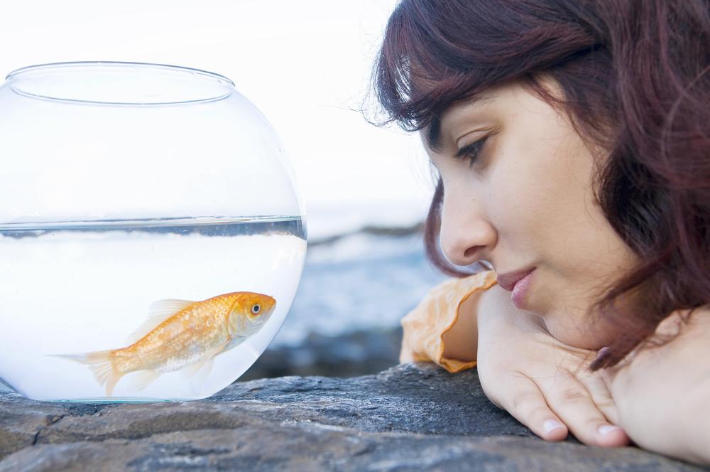 How to Empty Your Stress Bucket: Regaining Tolerance, Stability, and Strength