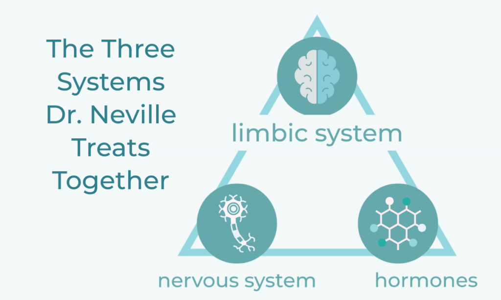 Diagram of the the systems Dr. Andrew Neville addresses in Adrenal Fatigue Treatment
